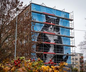Na ul. Rugiańskiej powstaje mural z kotem Gackiem