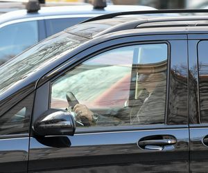 Ibisz powiększa rodzinę