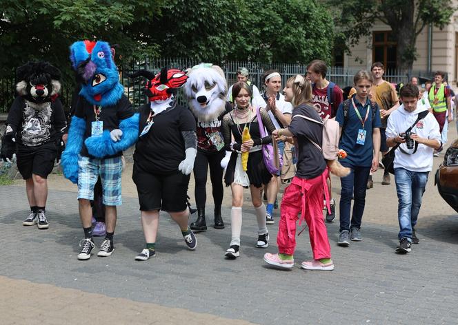 Marsz futrzaków w Lublinie. Tak wyglądał I Lubelski Fursuitwalk