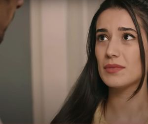 Wichrowe wzgórze, odcinek 205