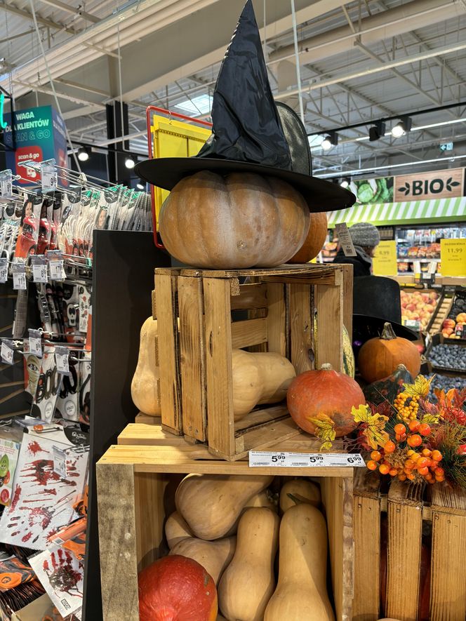 Zobacz, jak poznańskie świętują Halloween