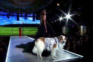 New York Fashion Week 2023. Na wybiegu z modelkami wystąpiły psy ze schronisk