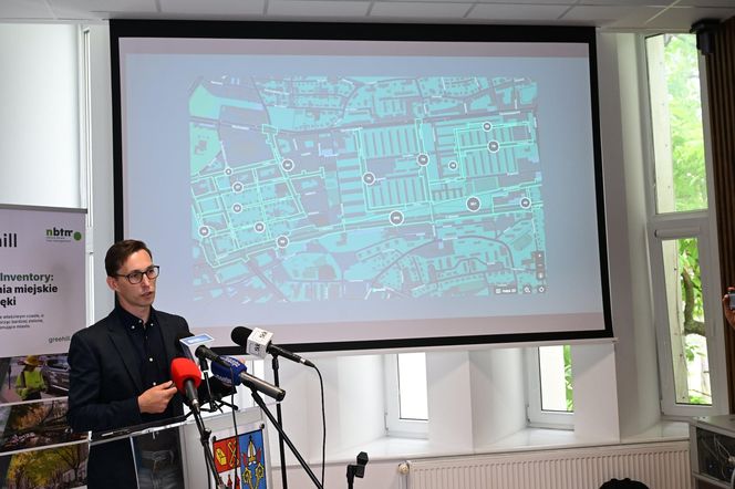 Cyfrowa inwentaryzacja drzew w Kołobrzegu