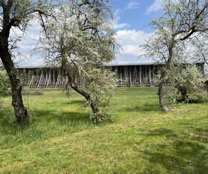 Tężnie w Ciechocinku