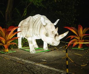 Nietypowy cennik biletów na wystawę Garden of Lights we Wrocławiu. O co chodzi? 