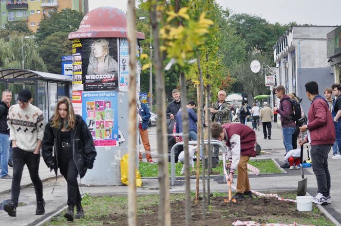 Dokończą usuwanie wyspy ciepła na ul. Kusocińskiego