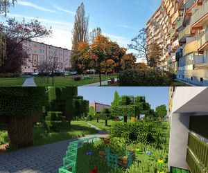 Projekt Przymorze