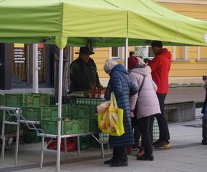 Frymark Bydgoski zgromadził tłumy! Mamy relację 