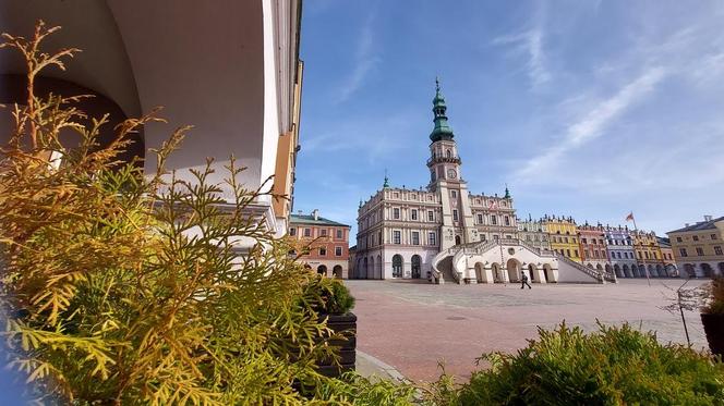 Zamość