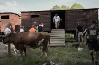 Sami Swoi. Początek. Film realizowany jest w Pyskowicach