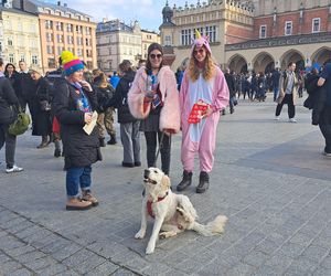 Wolontariusze na ulicach polskich miast