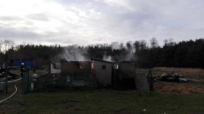 OGROMNY pożar w powiecie świeckim! Jedna osoba poszkodowana