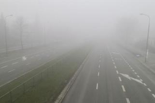 Sprawdzamy pogodę w Toruniu. Prognoza pogody na 11 listopada. Ostrzeżenie dla kierowców! [PROGNOZA POGODY]