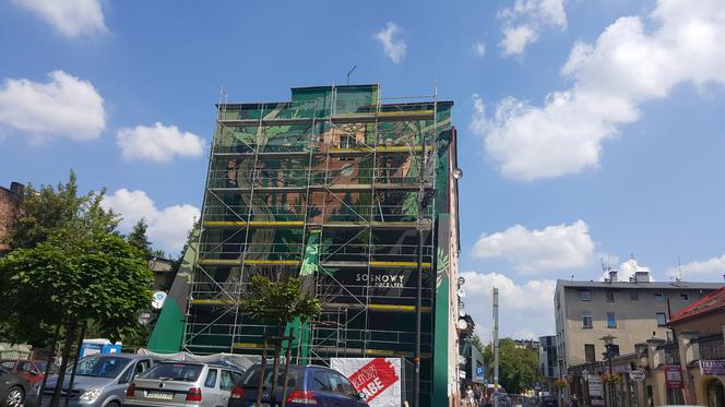 Mural "Sosnowy początek" w Sosnowcu