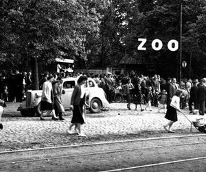Kultowe miejsca na odpoczynek w Łodzi kilkanaście lat temu