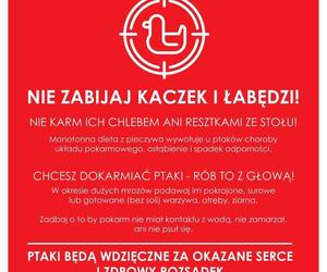 Nie dokarmiajmy ptaków chlebem i resztkami ze stołu