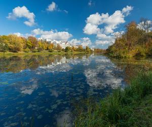 Park Skaryszewski 