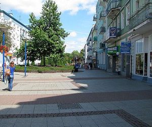 5. Piła 