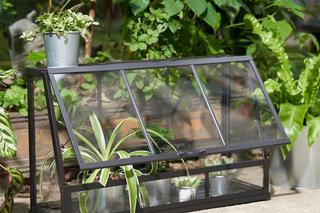 Mini szklarnia balkonowa. Zdjęcia