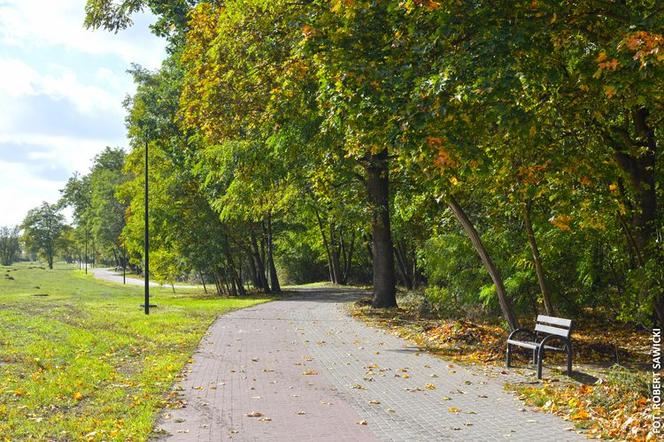 Zobacz jak wygląda największy park miejski w Polsce