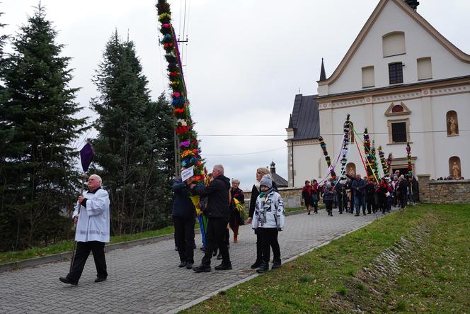 Rekordowe palmy i kiermasz świąteczny w Krynkach