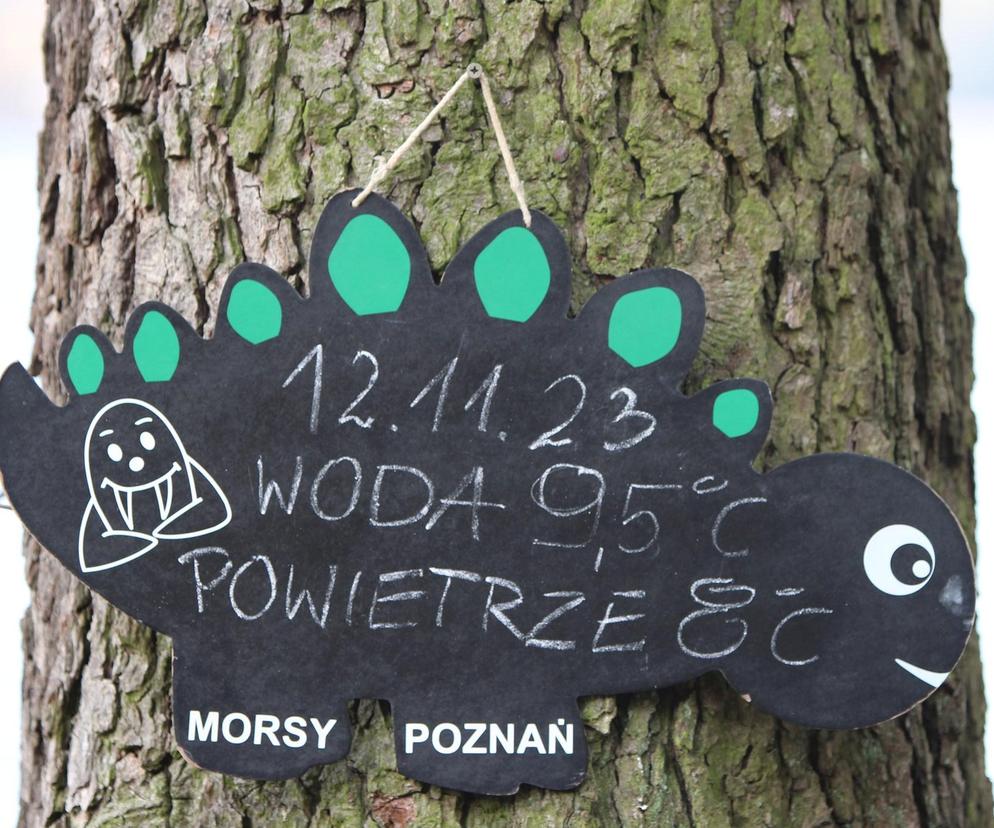 Morsy Poznań