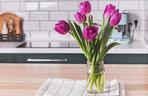 tulipany