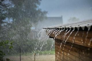 Gdzie odprowadzić deszczówkę? Jak odprowadzić wodę deszczową z dachu i rynien?