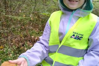 Ogólnopolski zlot grzybiarzy w Przysusze