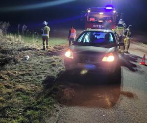 Iwanowice. Niepełnosprawny na wózku potrącony przez samochód. Ważny apel strażaków