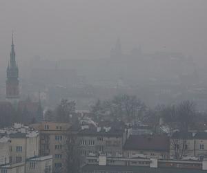 Tablice antysmogowe pojawią się przy krakowskich szkołach