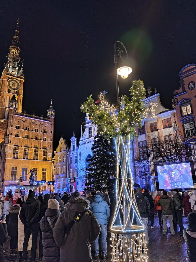 Gdańska choinka rozbłysła. Zobaczcie nasze zdjęcia!