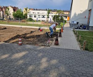 Budowa ścieżki rowerowej wzdłuż Alei Konstytucji 3 Maja