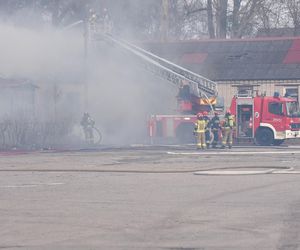Pożar pustostanów przy ul. Grudziądzkiej w Toruniu. To nie pierwszy raz!