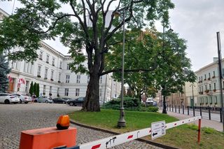 Wojewoda kujawsko-pomorski o nalocie rosyjskich dronów na Polskę: To sytuacja bez precedensu