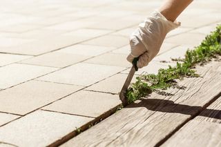 Twardnieje jak skała i nie przepuszcza chwastów. Sprytny sposób na idealny taras i podjazd bez pielenia