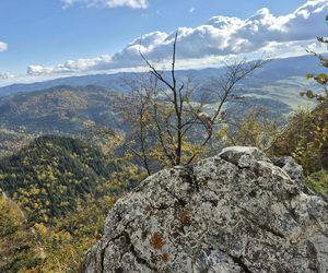 To jedno z najstarszych polskich uzdrowisk najpiękniej wygląda jesienią. Kurowali się w nim Sienkiewicz, Prus, Matejko i Konopnicka