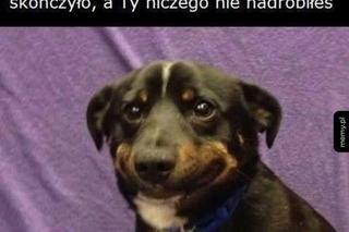 Najlepsze memy przed maturą 2024. Każdy zna to uczucie 