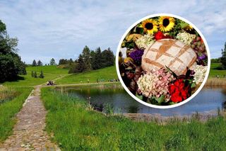 Sierpień w Bydgoszczy żegna się z hukiem. Dożynki Wojewódzkie, koncerty i Festiwal Pozytywka. Sprawdź, co się dzieje