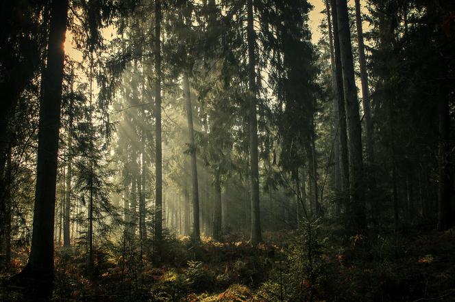 Magiczne Podlasie w obiektywie Małgorzaty Pawelczyk