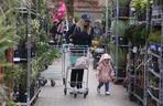 Joanna Kurska jak amerykańska gwiazda buszuje w sklepie ogrodniczym
