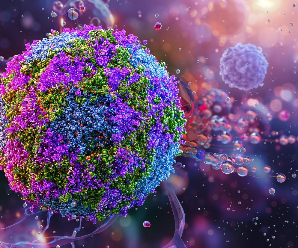 Polio wraca w niektórych krajach. Czy dzieci w Polsce są bezpieczne?