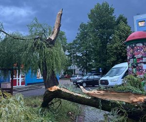 Powalone drzewa, zalania, wstrzymany ruch tramwajów: dramatyczny bilans orkanu nad Śląskiem