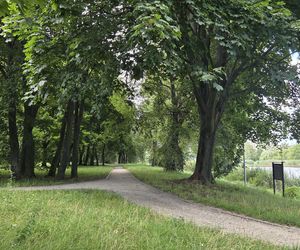 Zielona perła Bartodziejów. Odkryj uroki bydgoskiego Balatonu