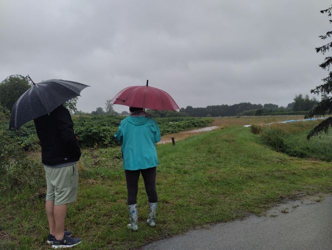 Ulewne deszcze na Śląsku. Trudna sytuacja na Żywiecczyźnie