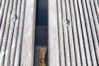 Śmieci na Zakrzówku