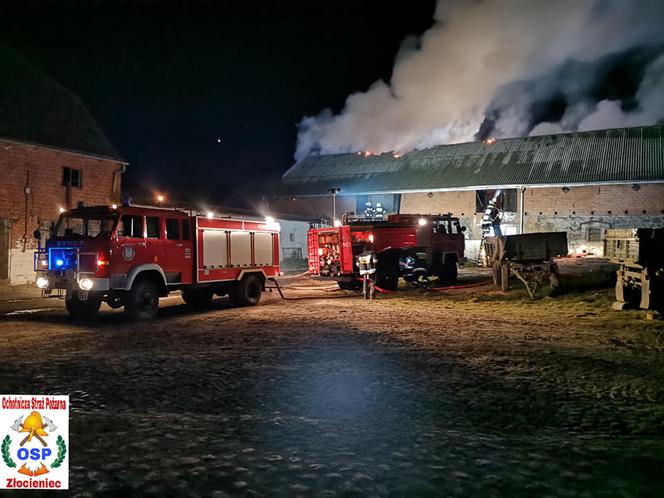 Spłonęło gospodarstwo w Świerczynie