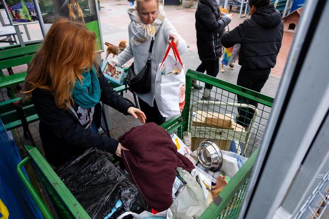 Zbiórka Muratora dla zwierząt z warszawskiego schroniska