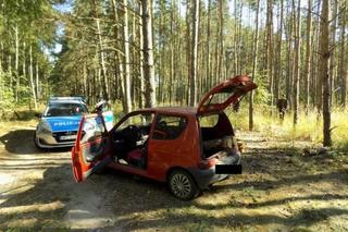 Kradzież drewna z lasu