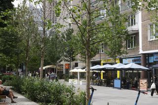 Martwe drzewa na Chmielnej w Warszawie. Miasto potwierdza. „Termin wymiany to jesień”